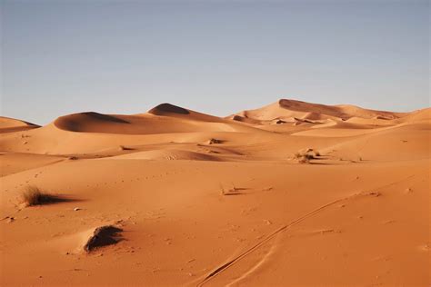 Adrar Ontdek Mauritanië Untamed Travelling