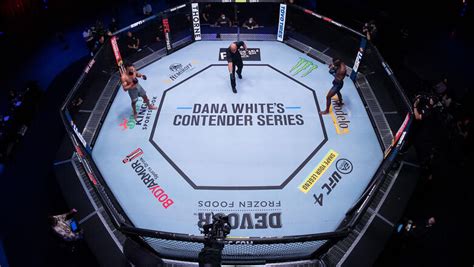 Dana Whites Contender Series Results Ufc