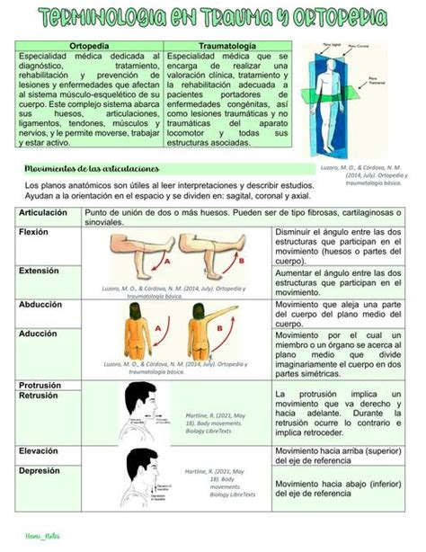 Terminología en traumatología y ortopedia Hami notes uDocz