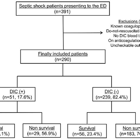 Patient Flow Diagram Ed Emergency Department Dic Disseminated