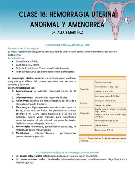 Hemorragia Uterina Anormal Udocz Hot Sex Picture