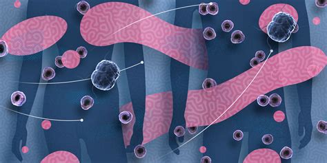 Emerging Issues In The Management Of Chlamydia And Gonorrhoea Bpac Nz