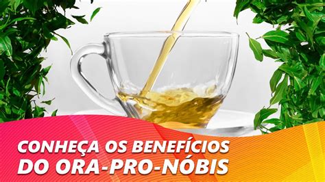 Os Benef Cios Dessa Planta V O Te Surpreender Ora Pro Nobis Youtube