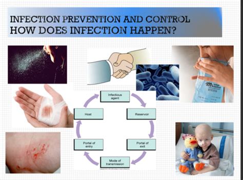 Infection Prevention And Control Questions Flashcards Quizlet