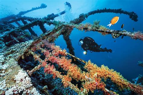 Seven Wrecks You Can Only Dive From A Liveaboard Scuba Diving