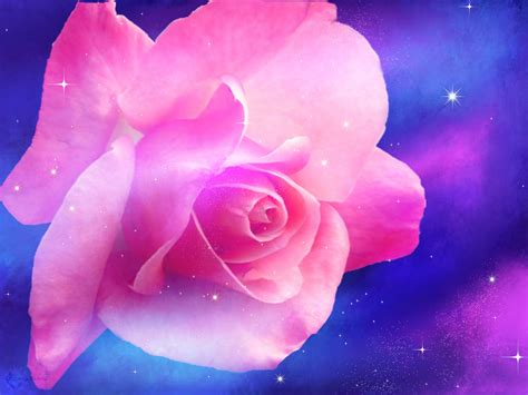 Galaxy Rose By Sheherzad On Deviantart