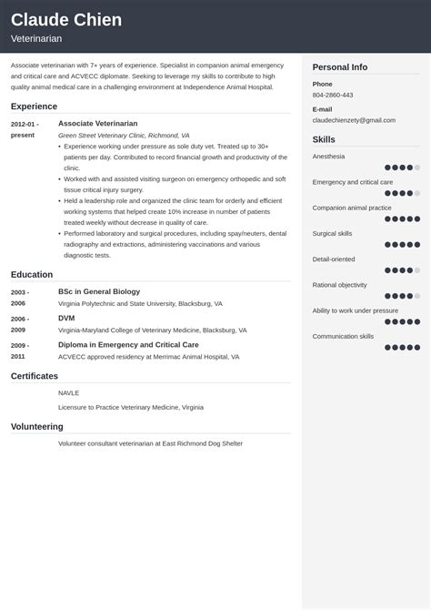 Veterinarian Resume Examples Guide Template Artofit