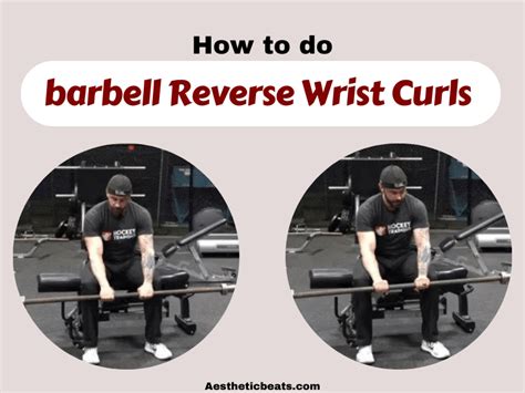 Barbell Reverse Wrist Curls Forearms Exercise Aestheticbeats