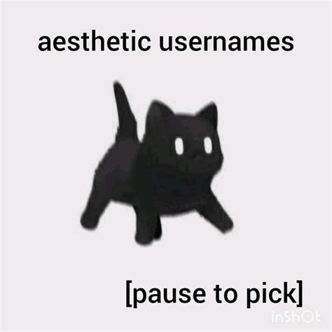 aesthetic usernames