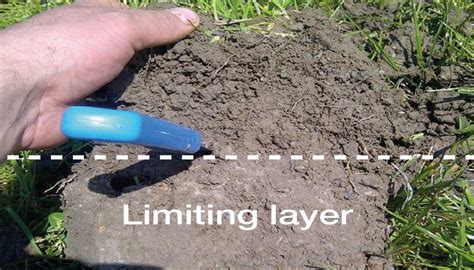 How To Assess Soil Structure Ahdb