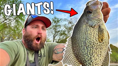 Ohio River Crappie Fishing Cast Cray Leechers Only Catch Giants