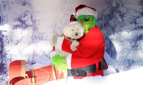 GET YOUR PHOTO WITH THE GRINCH 2023 – Floral Acres Greenhouse & Garden ...