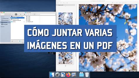 Cómo juntar varias imágenes en un PDF en MacSIN PROGRAMAS YouTube