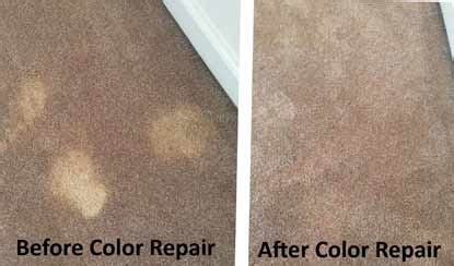 Bleaches What Are And How They In Carpet Cleaning