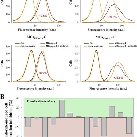 Dose Dependent Cell Penetration Of Truncated Mcauf Peptides A