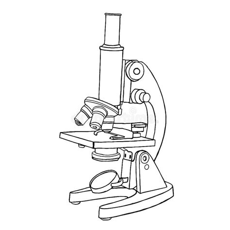 Microscope Sketch Stock Vector Illustration Of Drawing