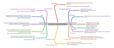 BIOLOGY CELL STRUCTURE - Coggle Diagram