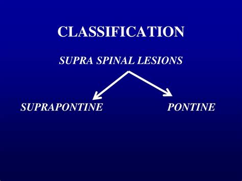 Step By Step Basic Neuro Urology Teaching Ppt Download