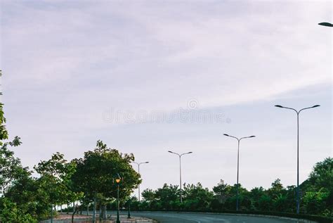 Highway Curve Road Overpass Nature Landscape Background Dark Tone Mist