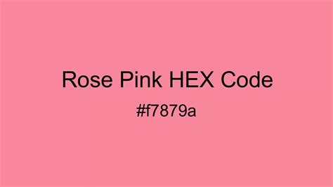 Rose Pink Color, Hex and RGB values | CSSColors.com