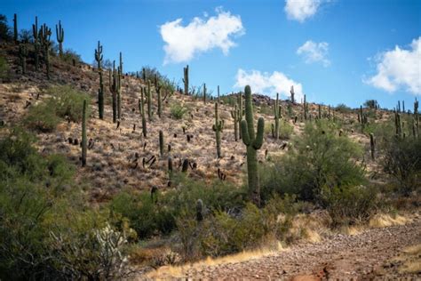 Boot Camps For Troubled Teens In Phoenix Teen Boot Camps