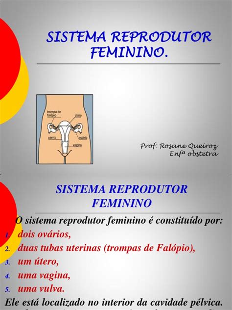 Fecundação e Nidação no Sistema Reprodutor Feminino | PDF | Sistema ...