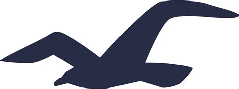 Download Hollister Logo Hollister Logo Png Png Image With No