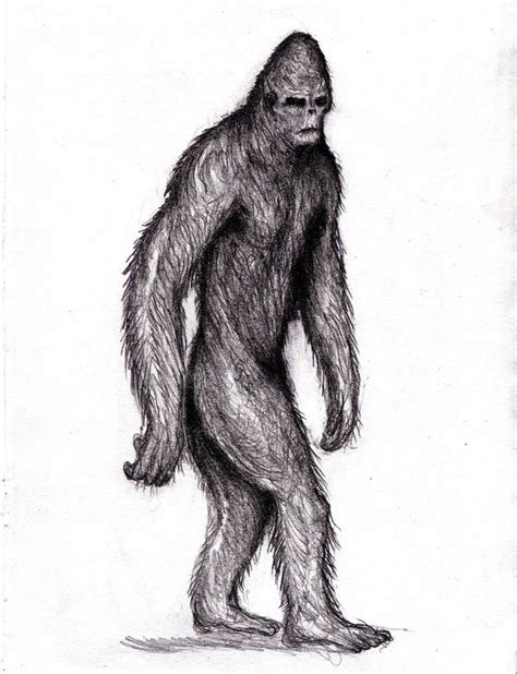 Pin On Cryptozoology Bigfoot Drawing Bigfoot Art Bigfoot