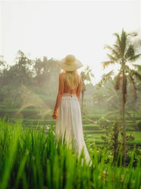 Ubud Affenwald Reisterrasse Tempel Wasserfall Touren Getyourguide