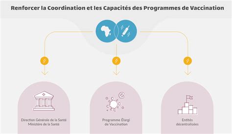 Programmes De Vaccination En Afrique De Nouvelles Perspectives Dalberg