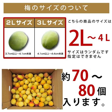 梅 南高梅 青梅 完熟梅 2l以上 和歌山 3kg 国産 梅酒 梅干し 梅ジャム 2023 1400 2l伊藤農園 Yahoo店