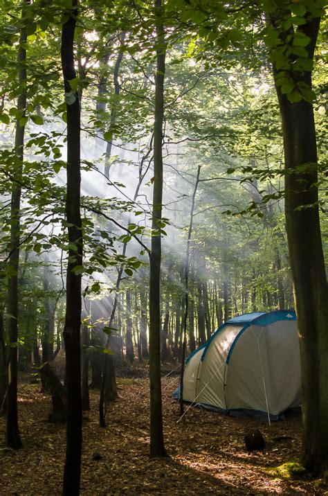 Camping In The Woods Mike Salmon Photography
