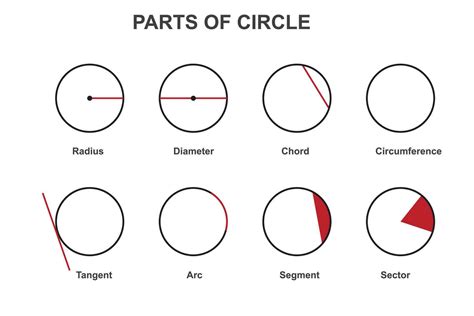 different parts of a circle. Radius, diameter, circumference, chord ...