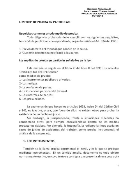 PDF Derecho Procesal Prof Leonel Torres Labbé I MEDIOS files