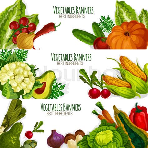 Vegetables Banners Of Vector Veggies Stock Vector Colourbox