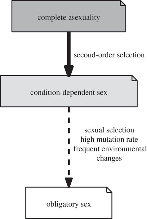 Condition Dependent Sex Who Does It When And Why Philosophical Transactions Of The Royal