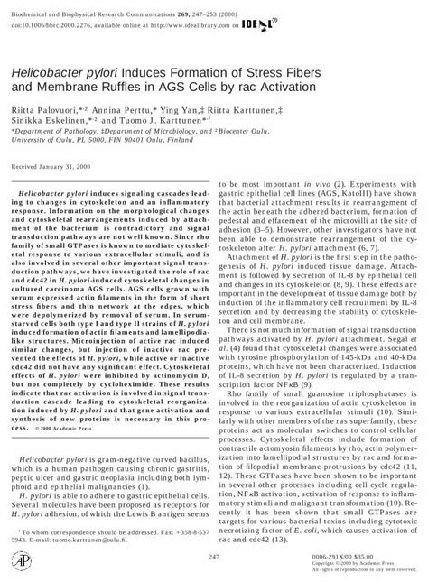 Pdf Helicobacter Pylori Induces Formation Of Stress Fibers And