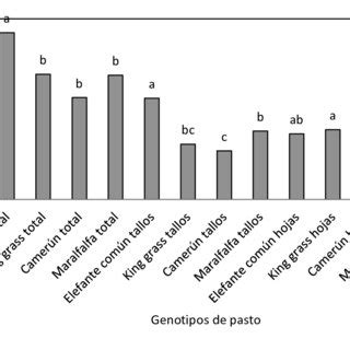 Producci N De Materia Seca Total De Tallos Y Hojas De Los Genotipos