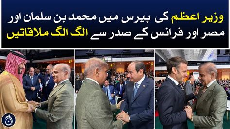 PM Shehbaz Sharif Meet Mohammad Bin Salman And France Egypt President