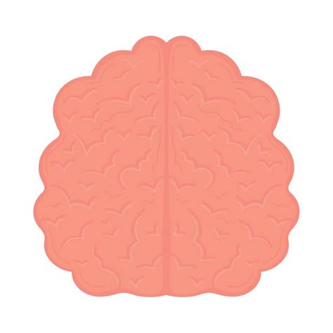 Human Brain Icon 10967132 Vector Art At Vecteezy