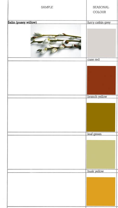 Planet Sam Colour From The Season Pussy Willow