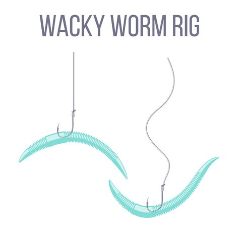 wacky rig wonders perfect  finesse game barracuda baits