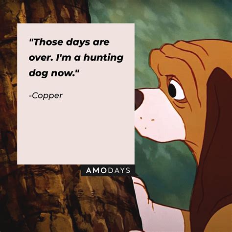 50 ‘the Fox And The Hound Quotes From A Timeless Tale Of Friendship