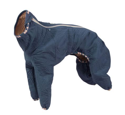 Brrr! Check Out the 8 Best Dog Winter Coats