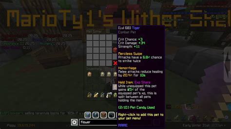 Hypixel Skyblock Stream But Doing Some Slayer Quests YouTube