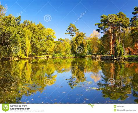 Lake In Forest Stock Photo Image Of Nature Foliage 38695542