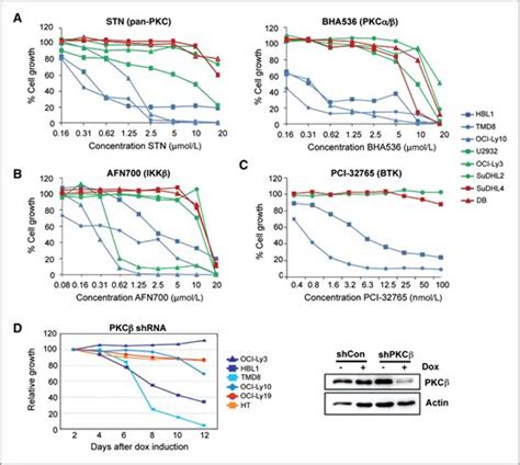 Protein Kinase C Inhibitor Sotrastaurin Selectively Inhibits The Growth