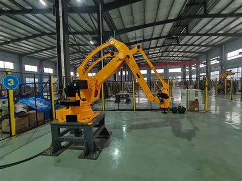 High Speed Automata Robotic Arm Axis Industrial Robot Arm With Robot