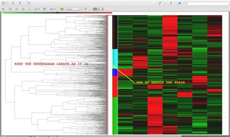 Ggplot Plotting A Clustered Heatmap With Dendrograms Using Rs Images