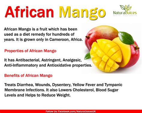 It Is Not Just Any Fruit It Is African Mango African Mango Mango Fruit